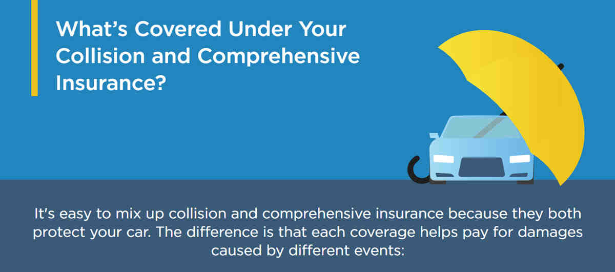 How many types of car insurance are there?