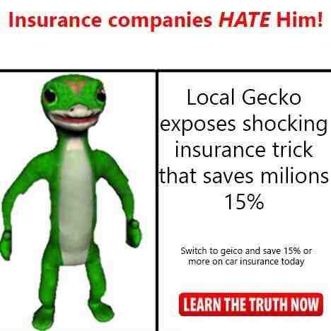 Who owns GEICO?