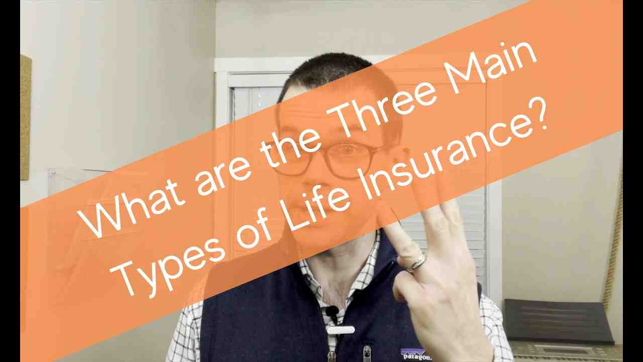 What are 2 types of insurance?