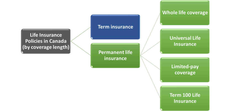 What are different types of insurance?
