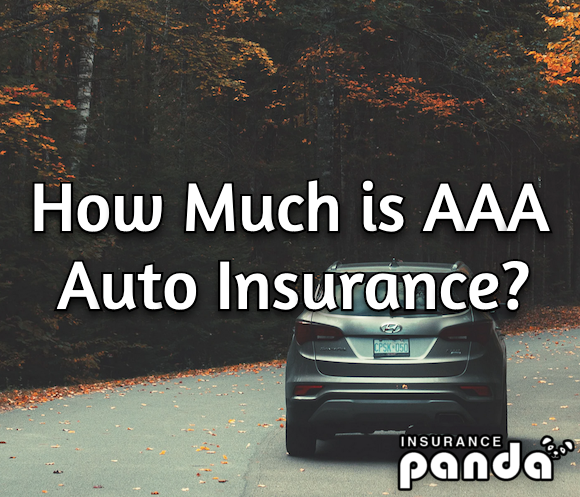 What is the phone number for AAA roadside assistance?