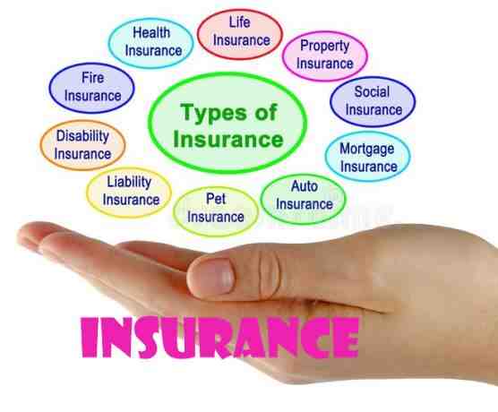 Which is a type of insurance to avoid?