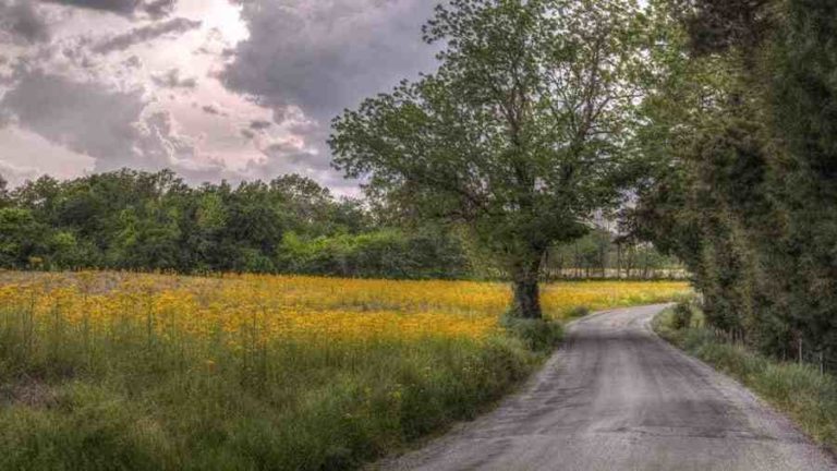 Tips for saving despite car insurance hikes